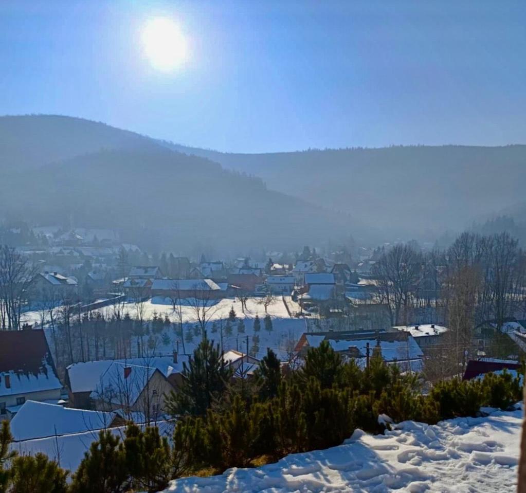 Hoya Hoya Villa Międzybrodzie Bialskie Eksteriør bilde